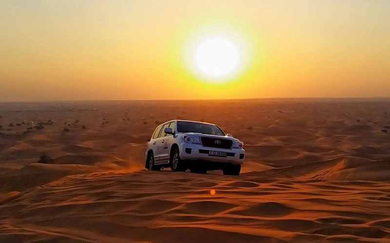 Evening Desert Safari