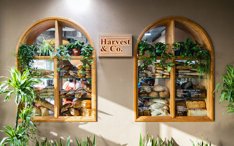 Harvest & Co