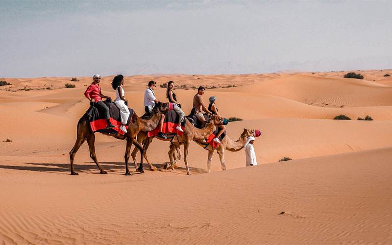 Morning Desert Safari