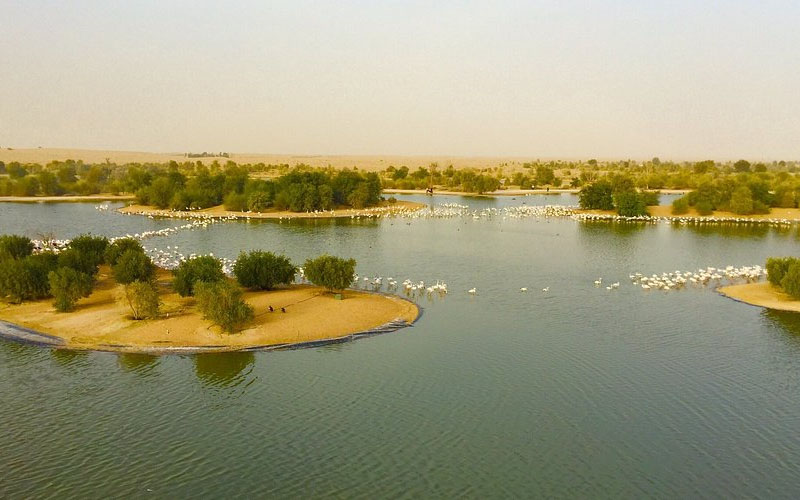 Have a Nice Walk by Al Qudra Lake