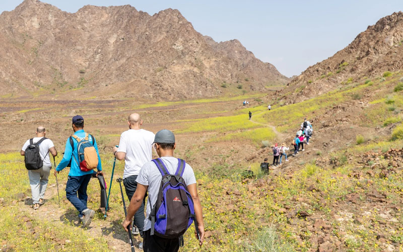 Take a Mountain Trekking Trip to Hatta