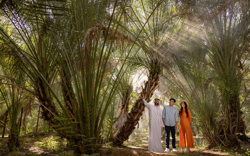 Take a Trip to the Natural Oasis of Al Ain