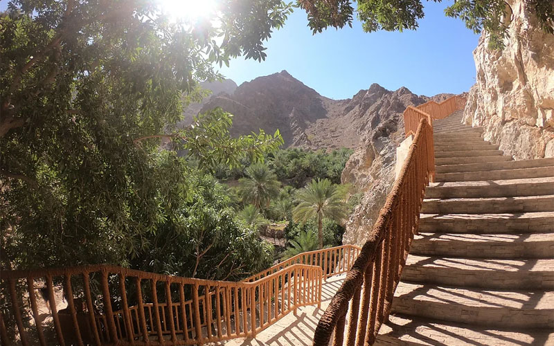 Wadi Shees Nature Trail